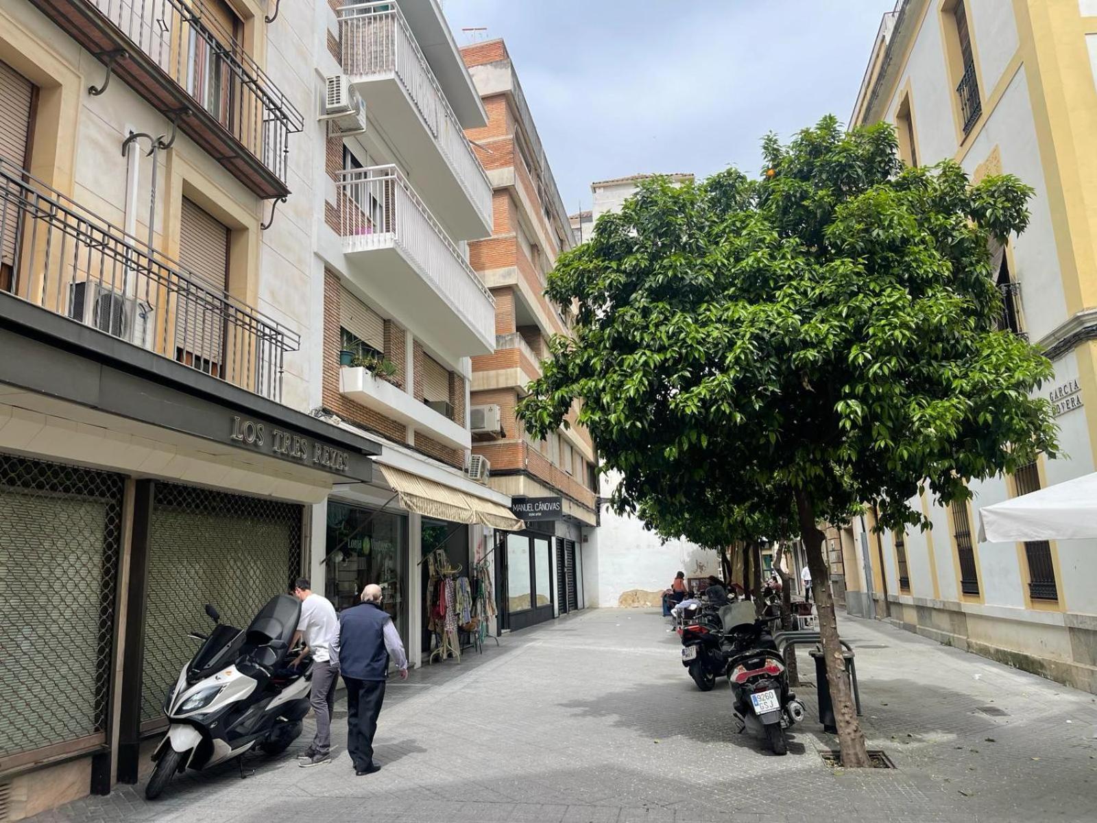 Apartamentos Azonaicas Centro Tendillas Cordoue Extérieur photo